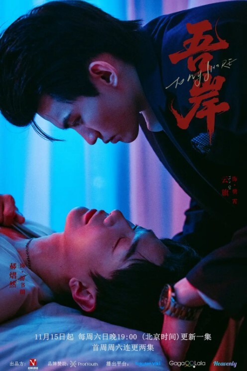 肉感大奶骚妇吃鸡挑逗蒙面狼友操逼 - AVMM海报
