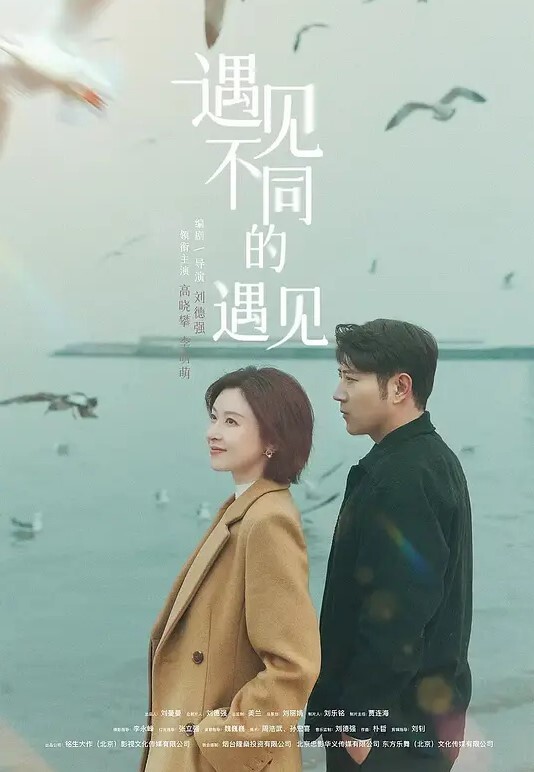 秦总会所探花极品巨乳熟女技师黑丝肥臀高跟鞋乳推舔屌操逼奶子直晃 - AVMM海报